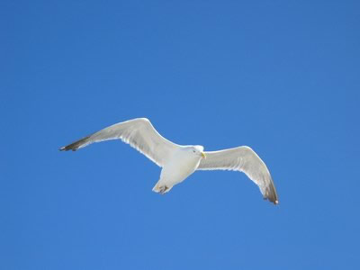 Nahant, MA